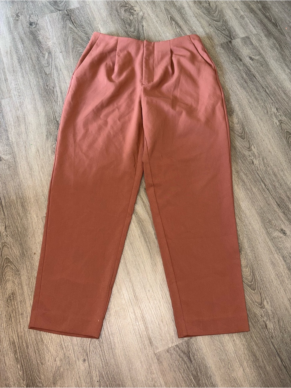A New Day | Rust Pleated Trousers